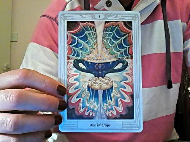 ace of cups