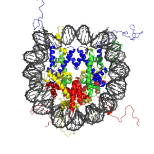 epigenetic modification