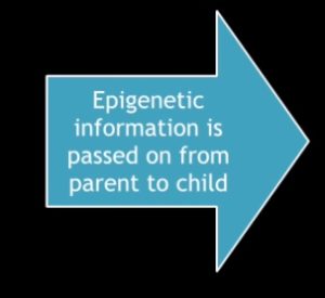 epigenetic modification