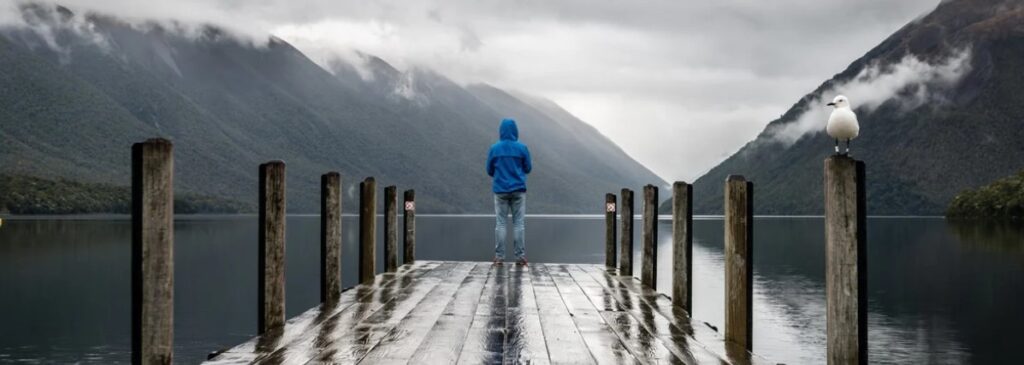 World Citizen by David Sylvian